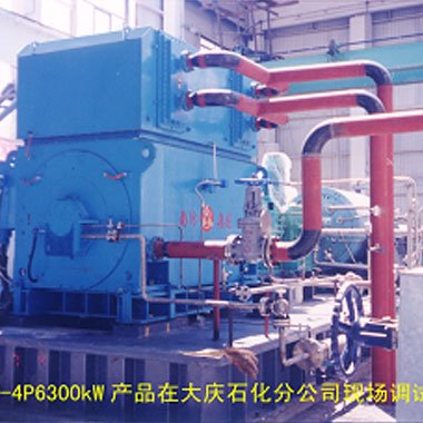 大慶石化（2006年 ，YAKS710-4P，1臺(tái)）